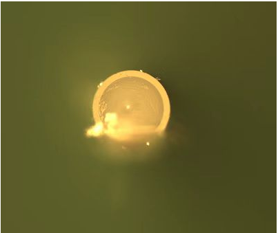 光学工具测量显微镜是光纤直径测量解决方案