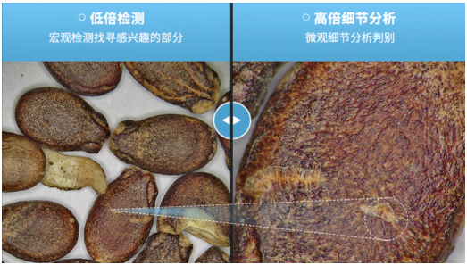 湖北武汉高精度电子数码测量显微镜